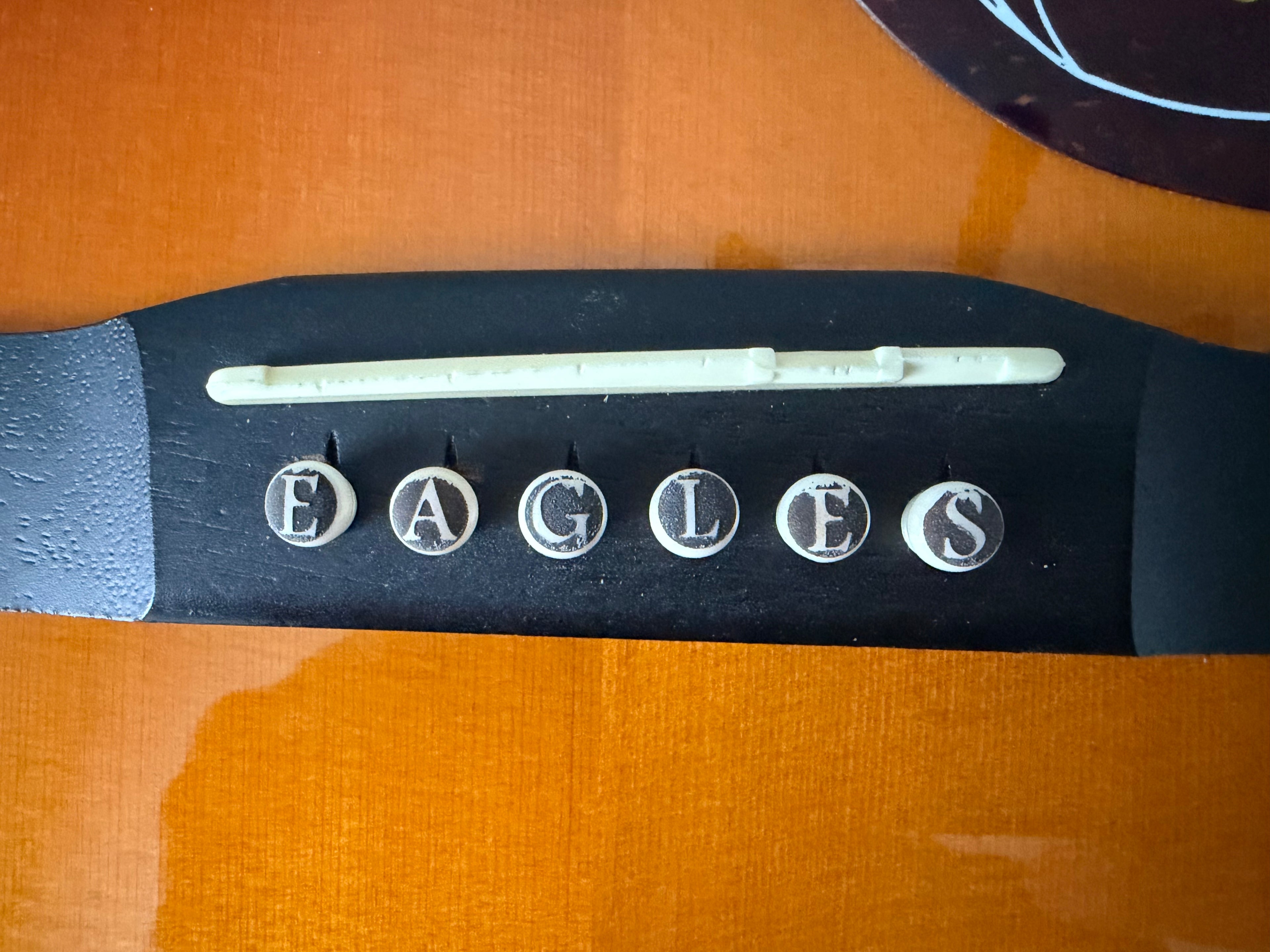 Choose your own - Custom Bone Guitar Bridge Pins