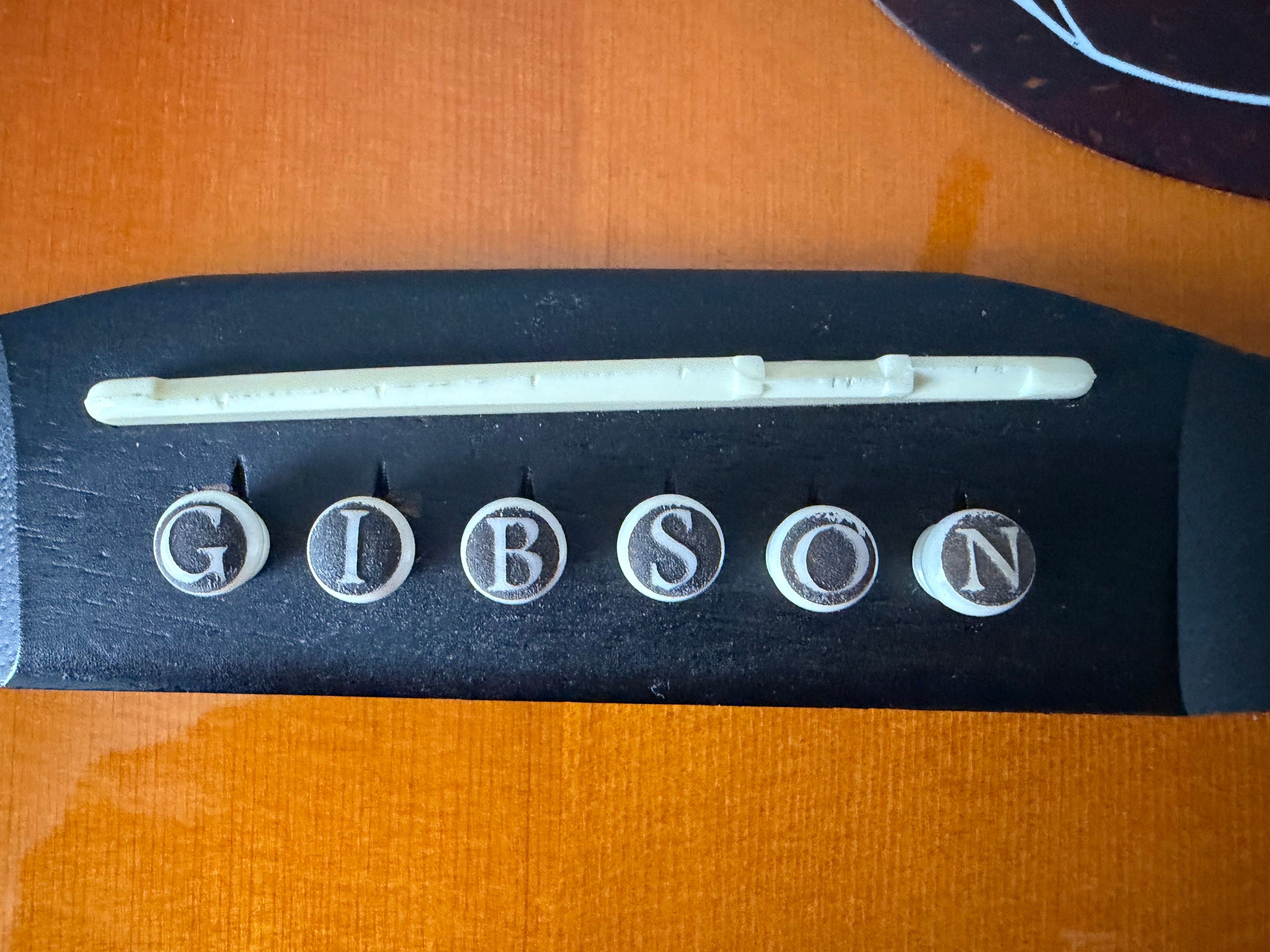 Choose your own - Custom Bone Guitar Bridge Pins