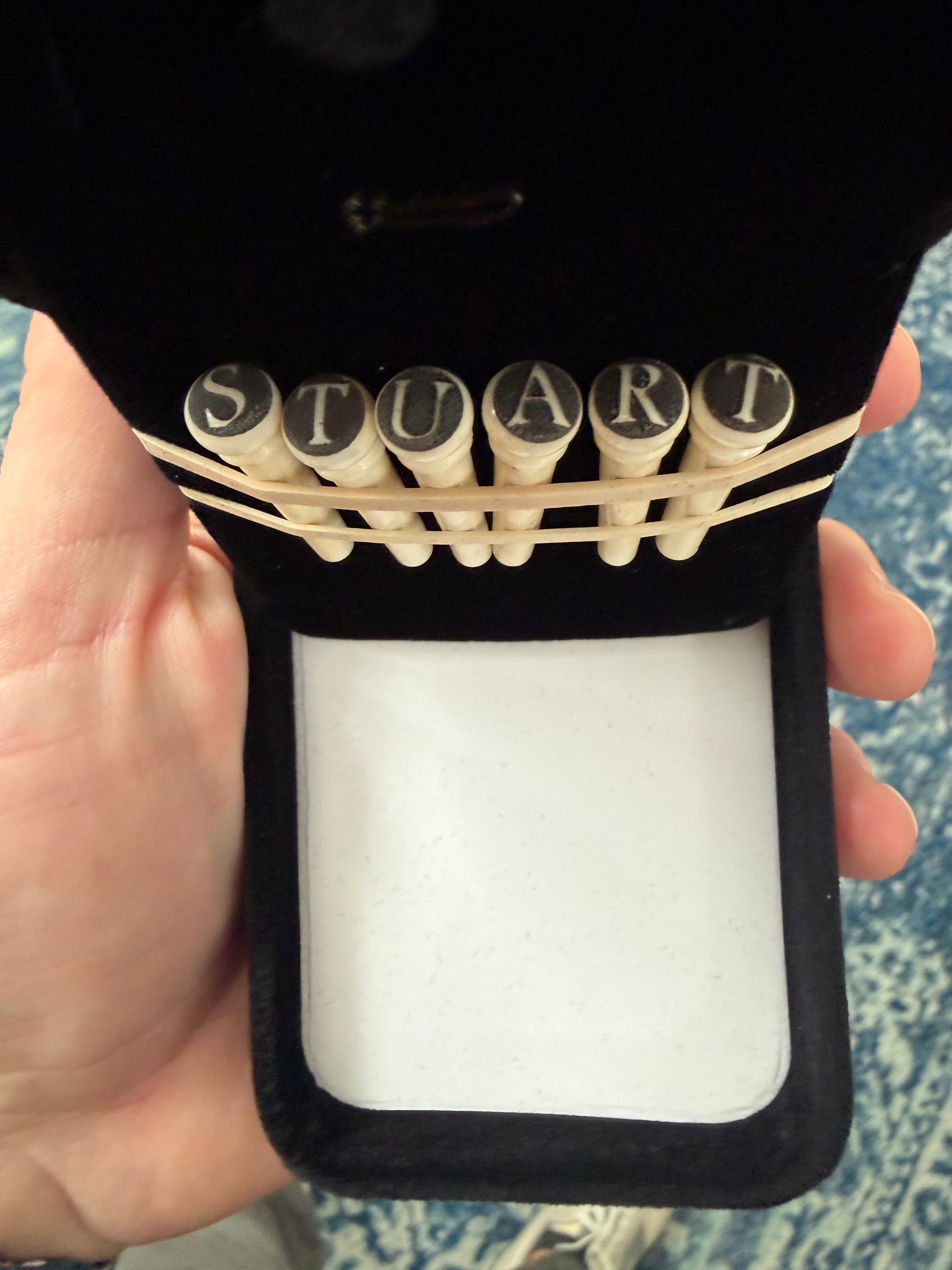 MARTIN Name - Custom Bone Guitar Bridge Pins